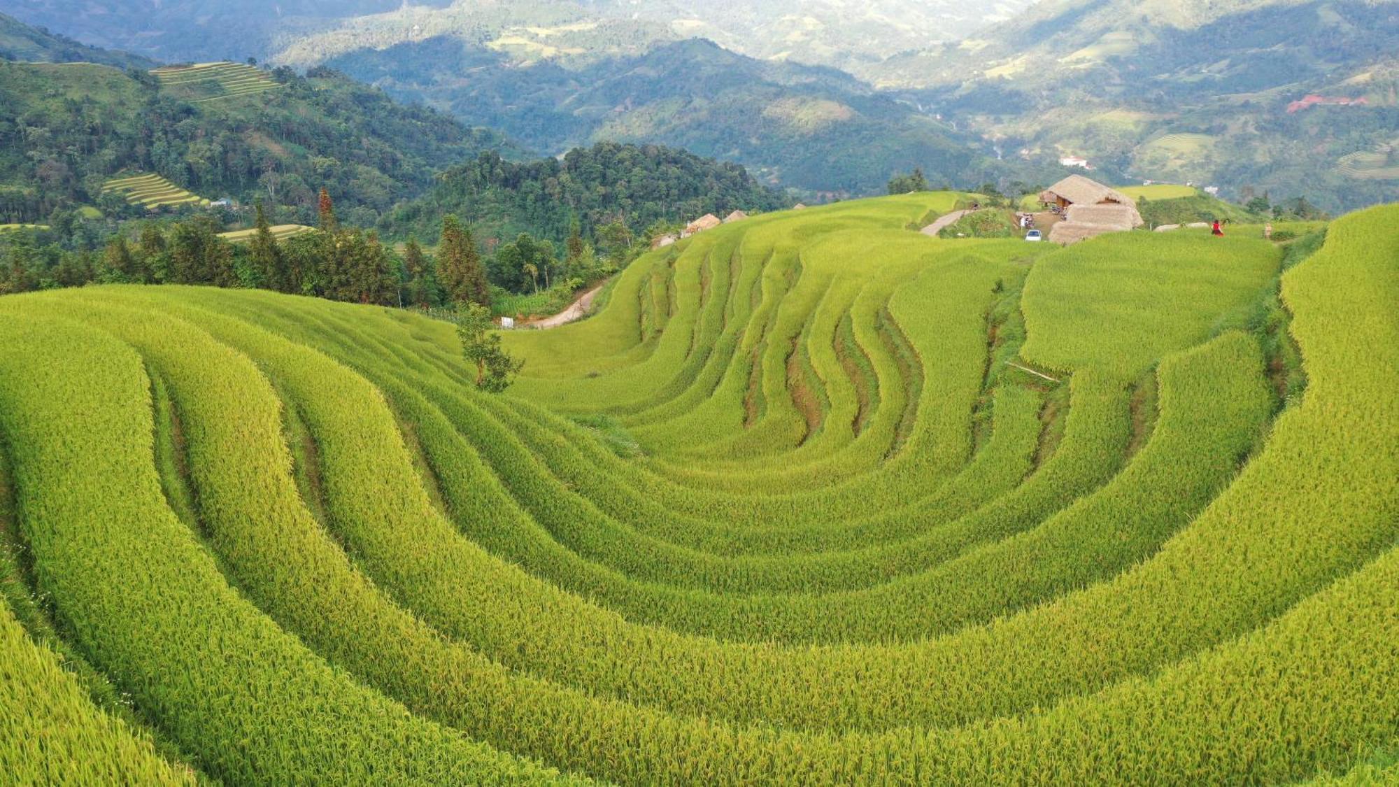 Hoang Su Phi - Mong Ngua Homestay ハザン エクステリア 写真