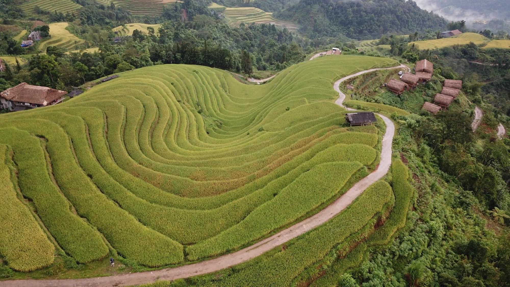Hoang Su Phi - Mong Ngua Homestay ハザン エクステリア 写真